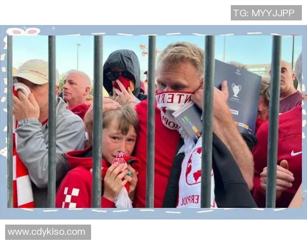 球迷假票事件调查 球迷假票事件调查